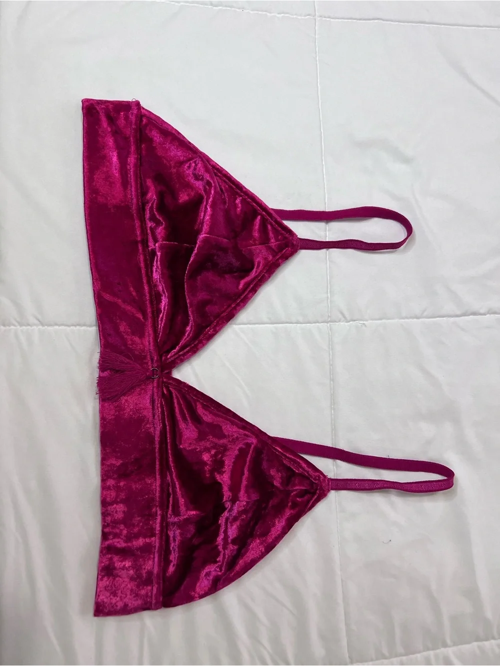 Anthropologie Velvet Tassel Bralette in Fuchsia size XL
